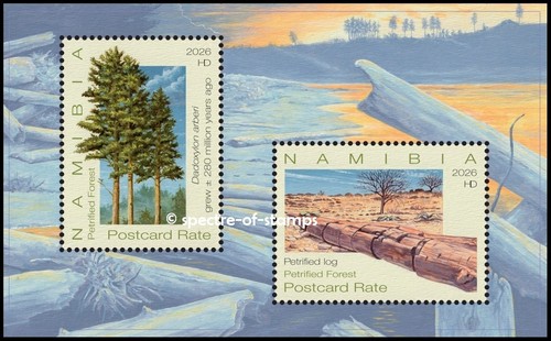 Namibia 2026 alberi - 2026, foresta