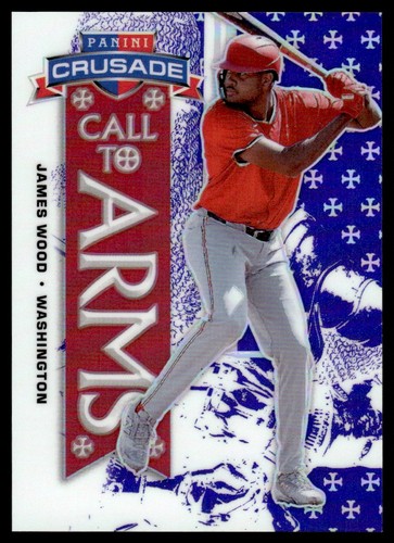 2025 panini crociata - crociata, chiamata